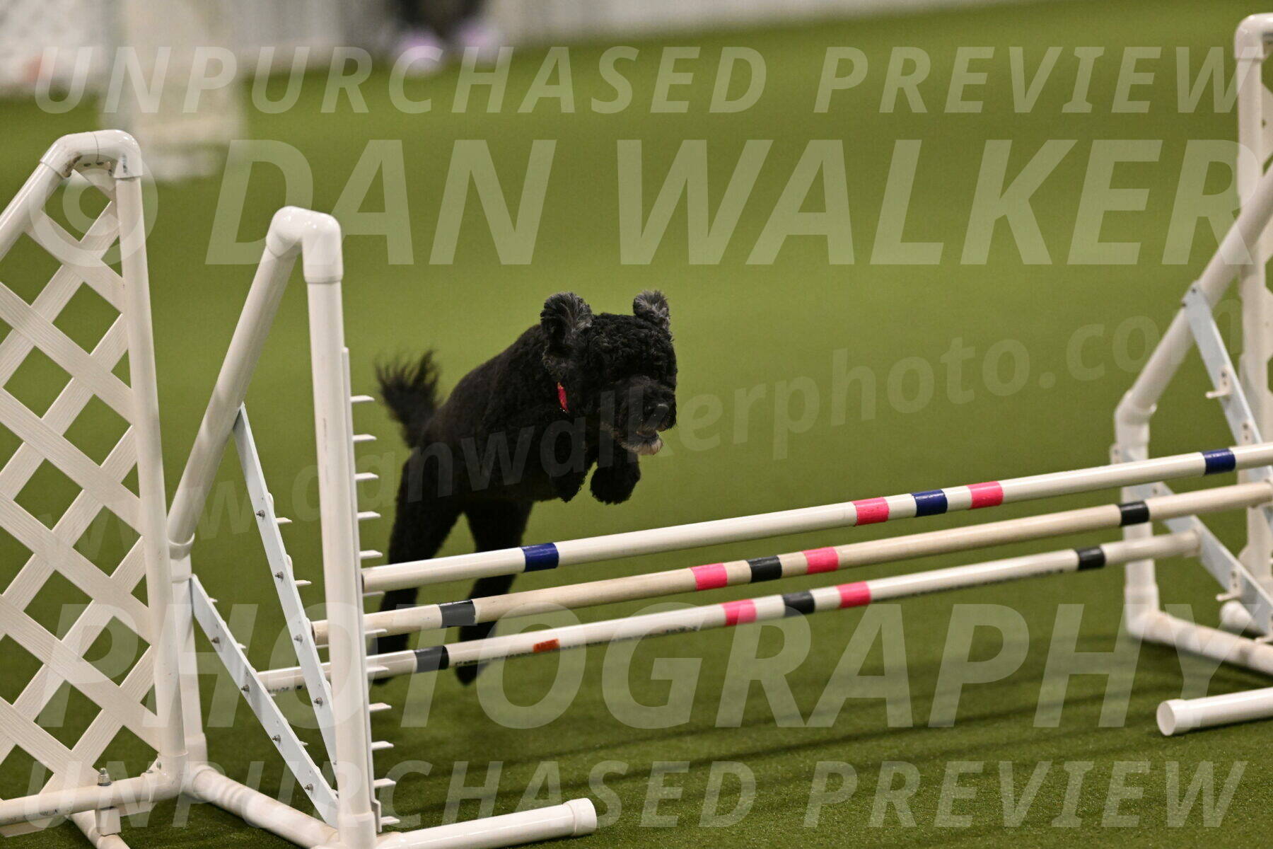 Nixie-Stacie-Rosenburg-00402