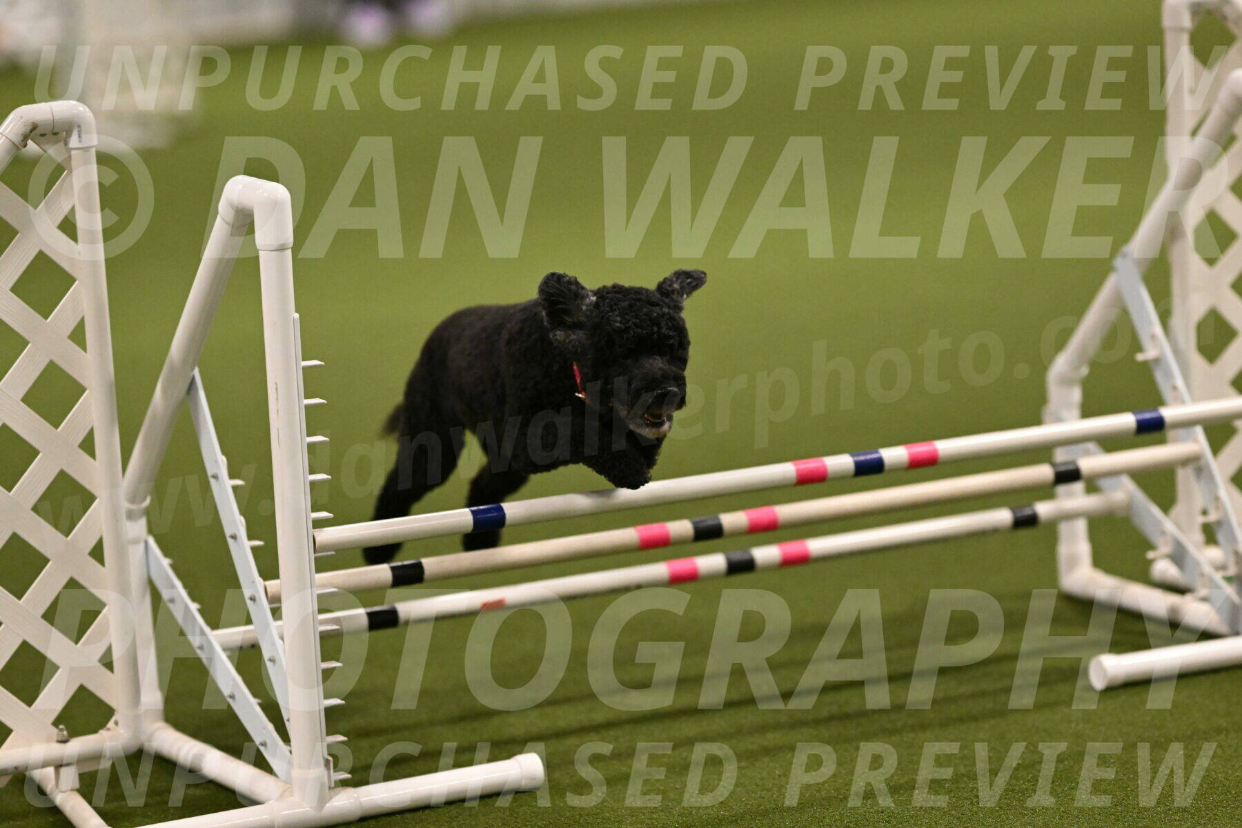 Nixie-Stacie-Rosenburg-00403