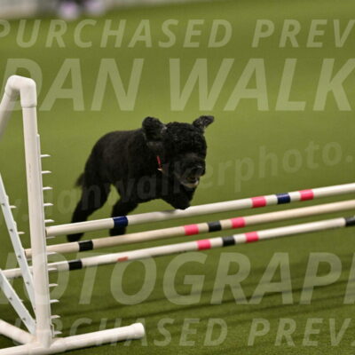 Nixie-Stacie-Rosenburg-00403