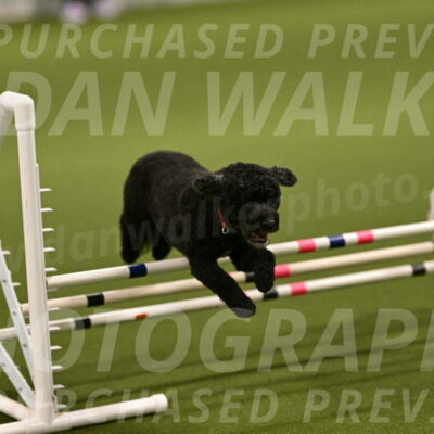 Nixie-Stacie-Rosenburg-00404