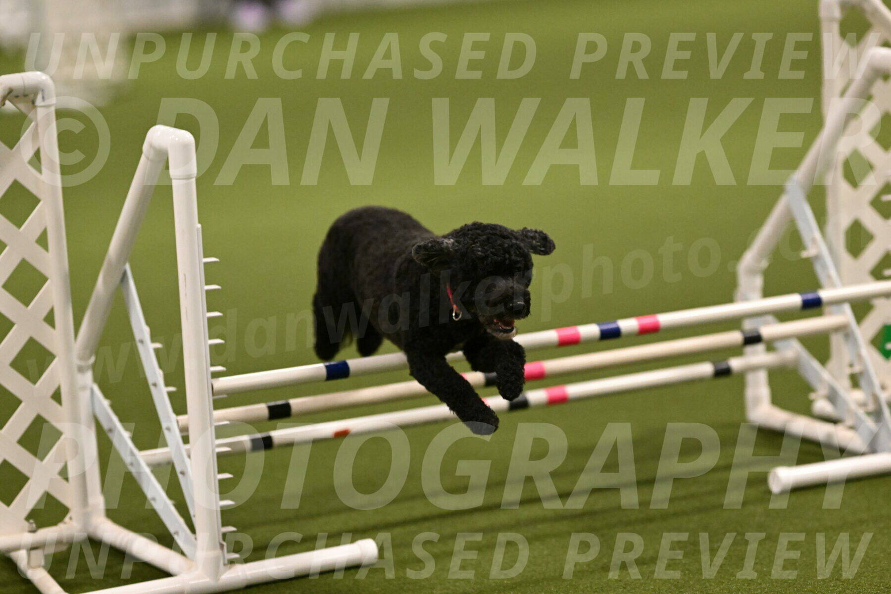 Nixie-Stacie-Rosenburg-00404