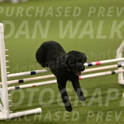 Nixie-Stacie-Rosenburg-00405