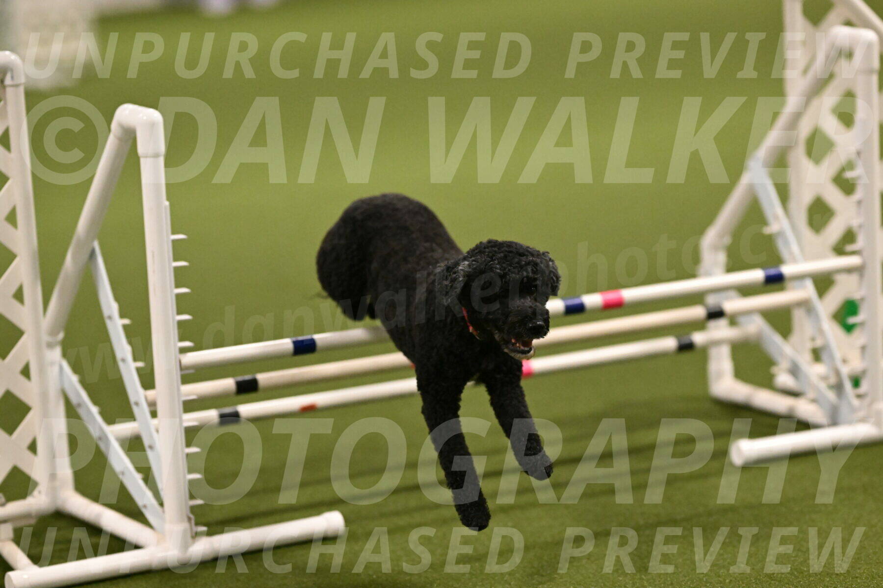 Nixie-Stacie-Rosenburg-00405