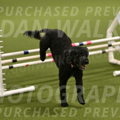 Nixie-Stacie-Rosenburg-00406