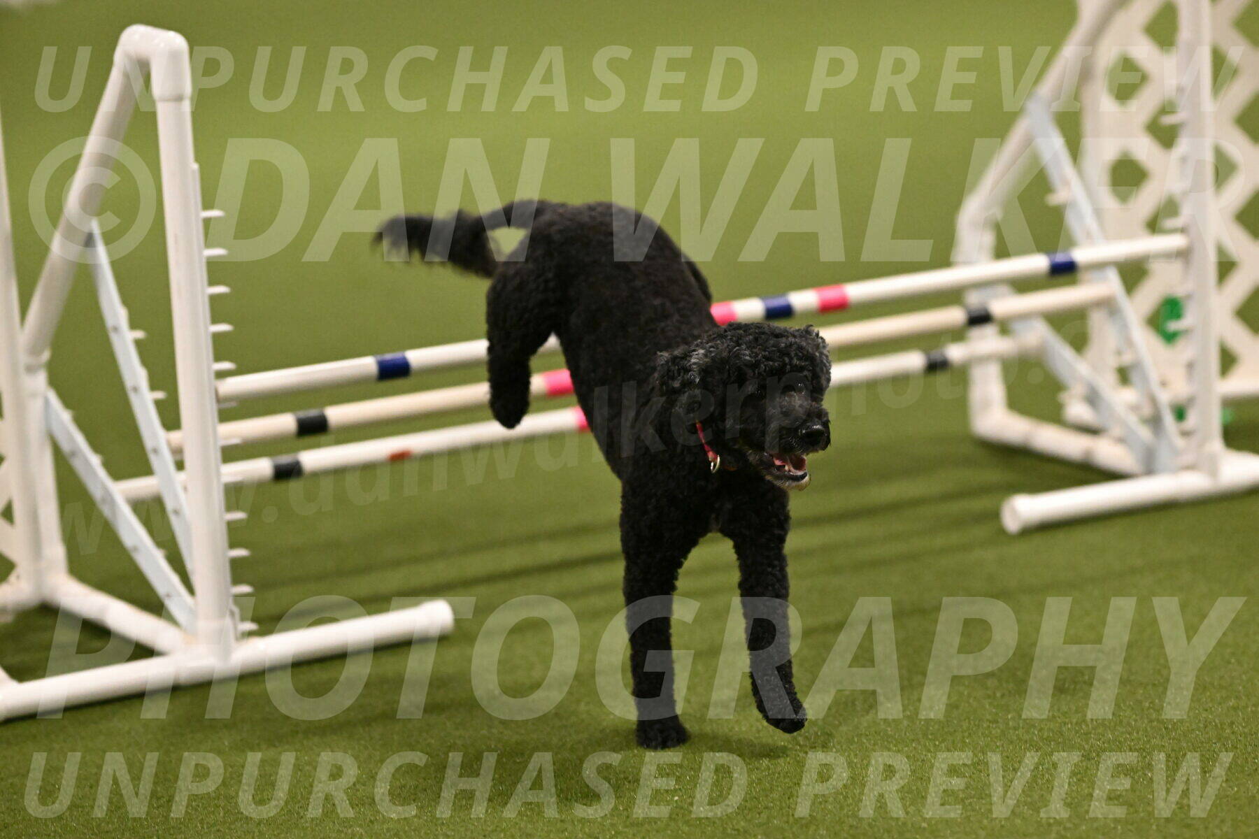 Nixie-Stacie-Rosenburg-00406