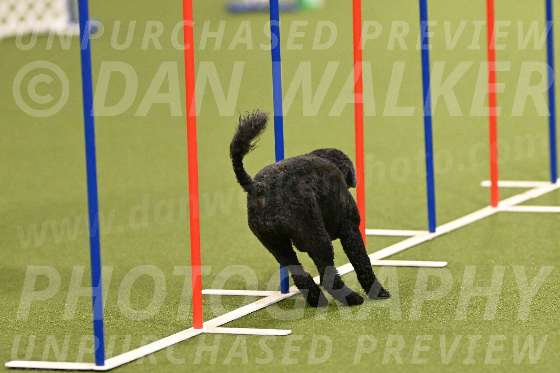 Nixie-Stacie-Rosenburg-00407