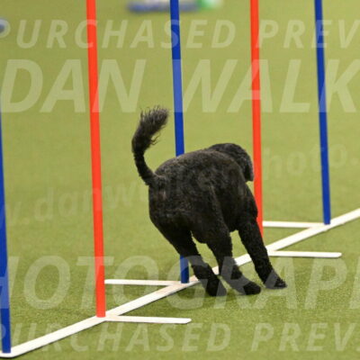 Nixie-Stacie-Rosenburg-00407