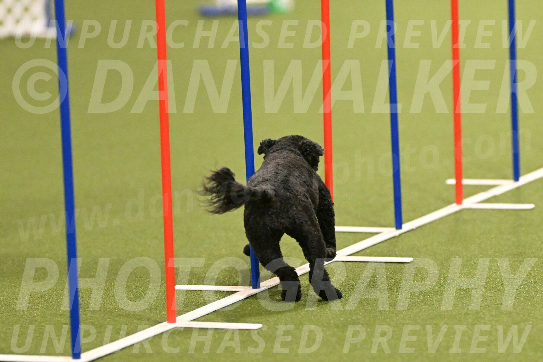 Nixie-Stacie-Rosenburg-00408