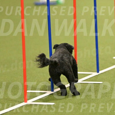 Nixie-Stacie-Rosenburg-00408