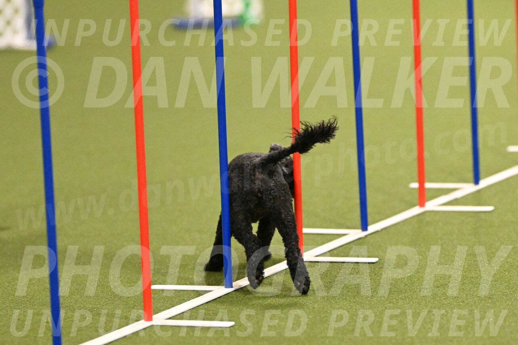 Nixie-Stacie-Rosenburg-00409