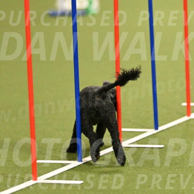 Nixie-Stacie-Rosenburg-00409