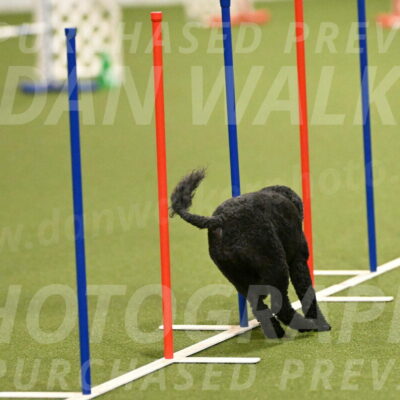 Nixie-Stacie-Rosenburg-00410