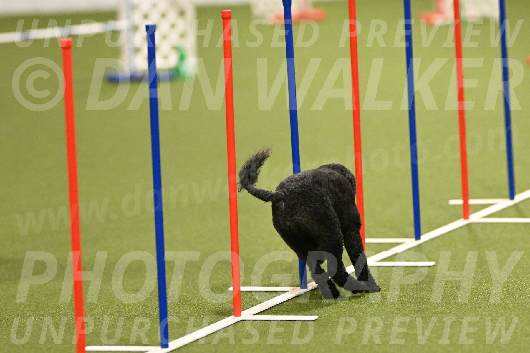 Nixie-Stacie-Rosenburg-00410