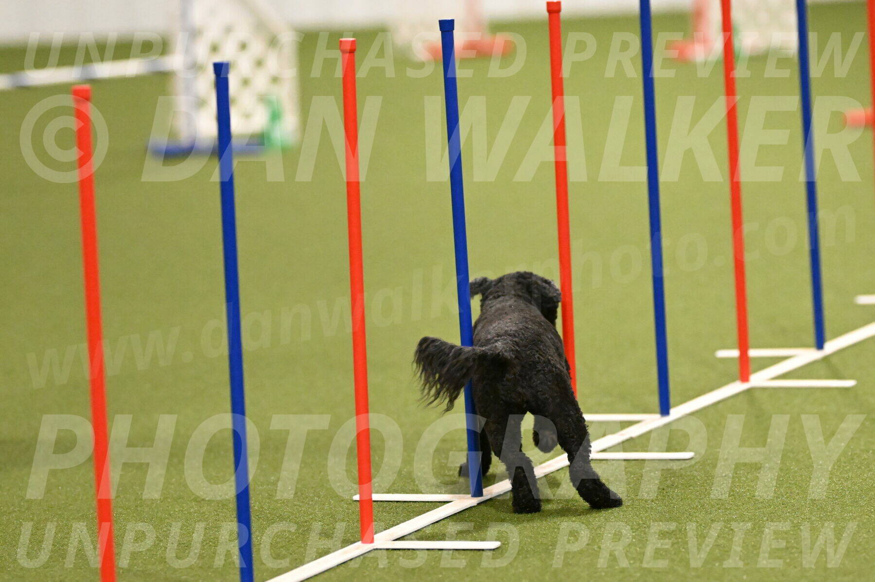 Nixie-Stacie-Rosenburg-00411