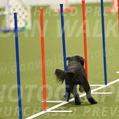 Nixie-Stacie-Rosenburg-00411