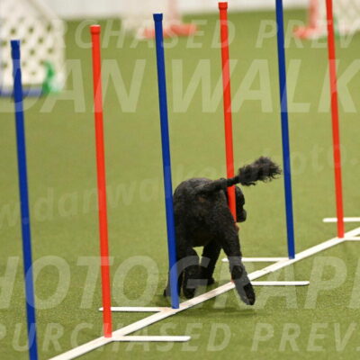 Nixie-Stacie-Rosenburg-00412