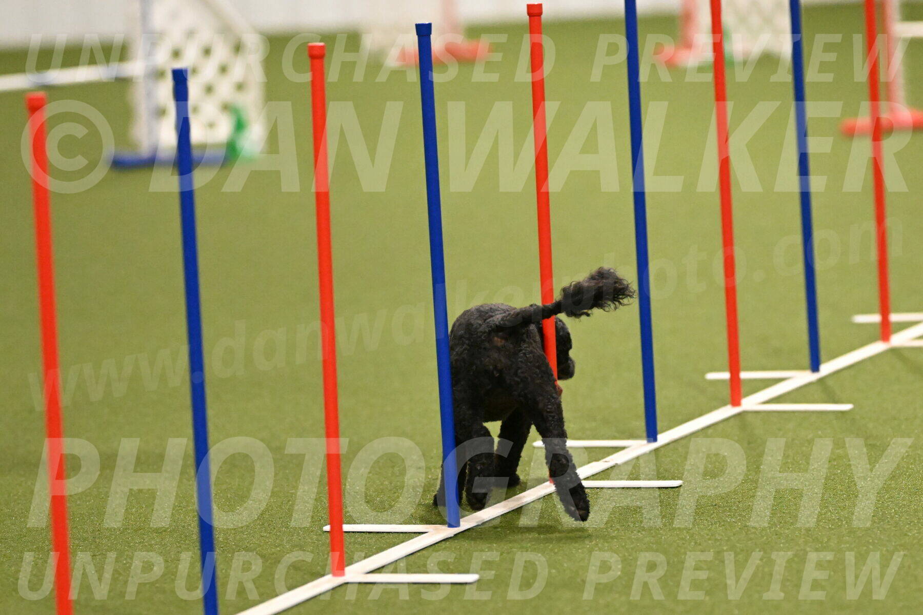 Nixie-Stacie-Rosenburg-00412