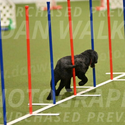 Nixie-Stacie-Rosenburg-00413