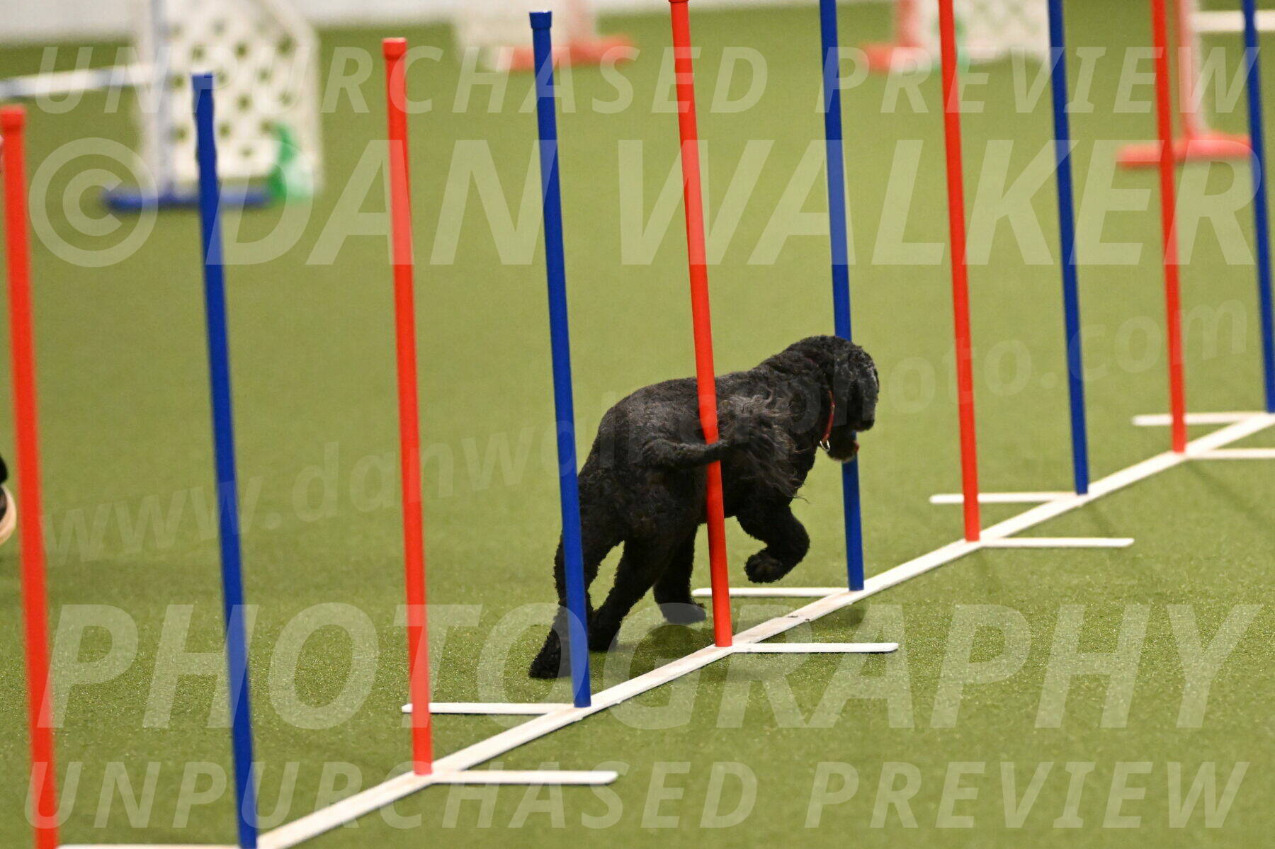 Nixie-Stacie-Rosenburg-00413