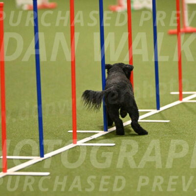 Nixie-Stacie-Rosenburg-00414