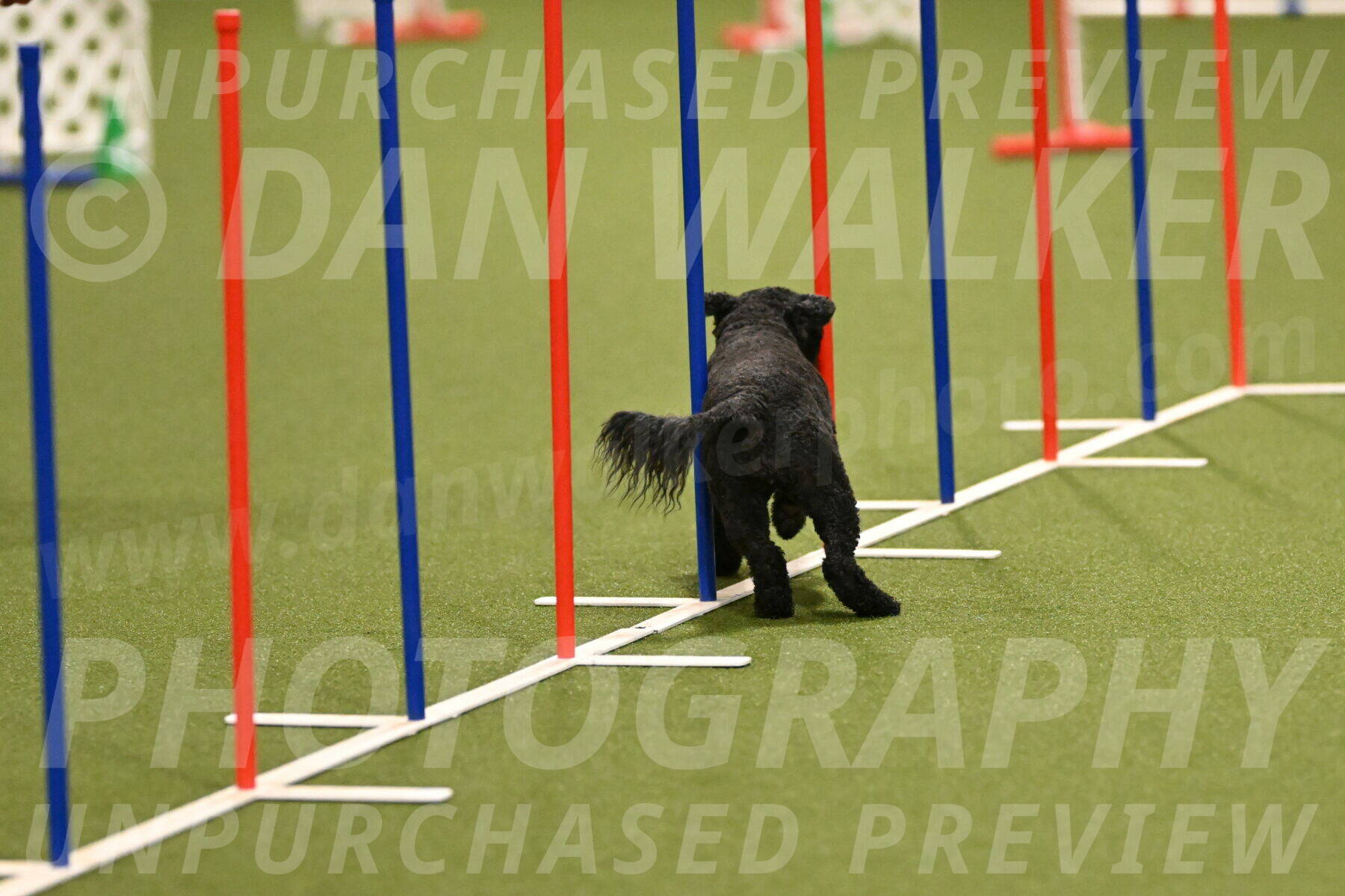 Nixie-Stacie-Rosenburg-00414