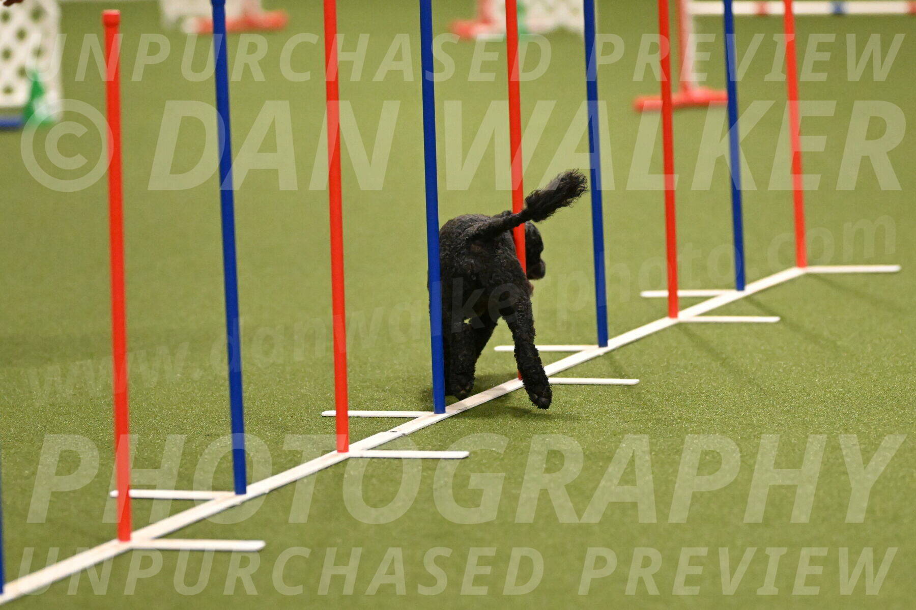 Nixie-Stacie-Rosenburg-00415