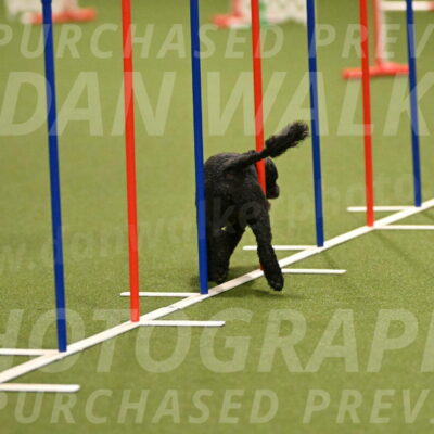 Nixie-Stacie-Rosenburg-00415