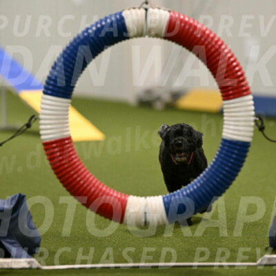 Nixie-Stacie-Rosenburg-00416