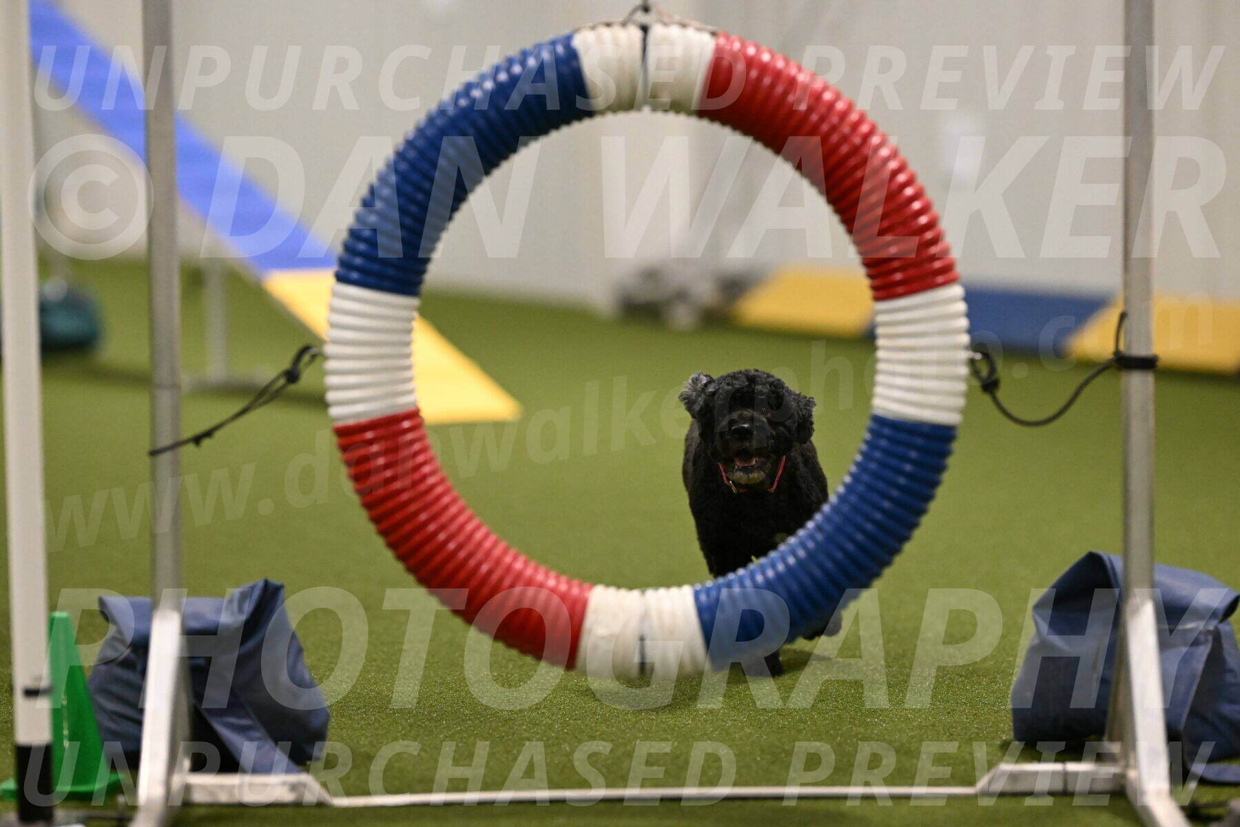 Nixie-Stacie-Rosenburg-00416