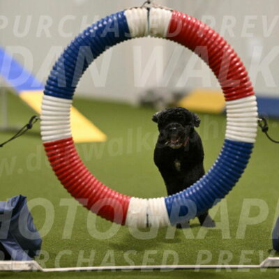 Nixie-Stacie-Rosenburg-00417