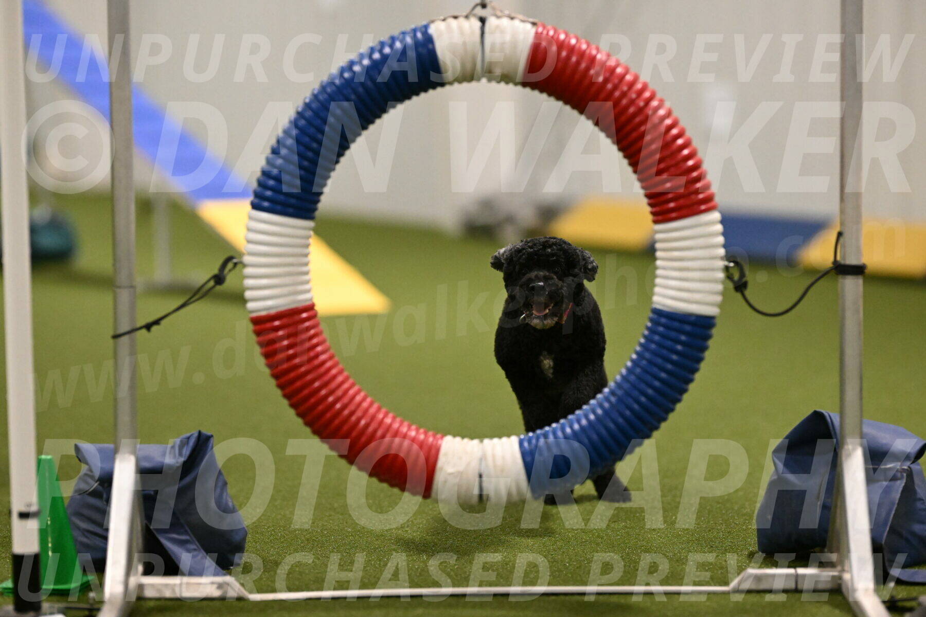 Nixie-Stacie-Rosenburg-00417