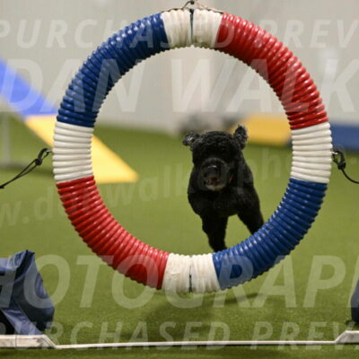 Nixie-Stacie-Rosenburg-00418