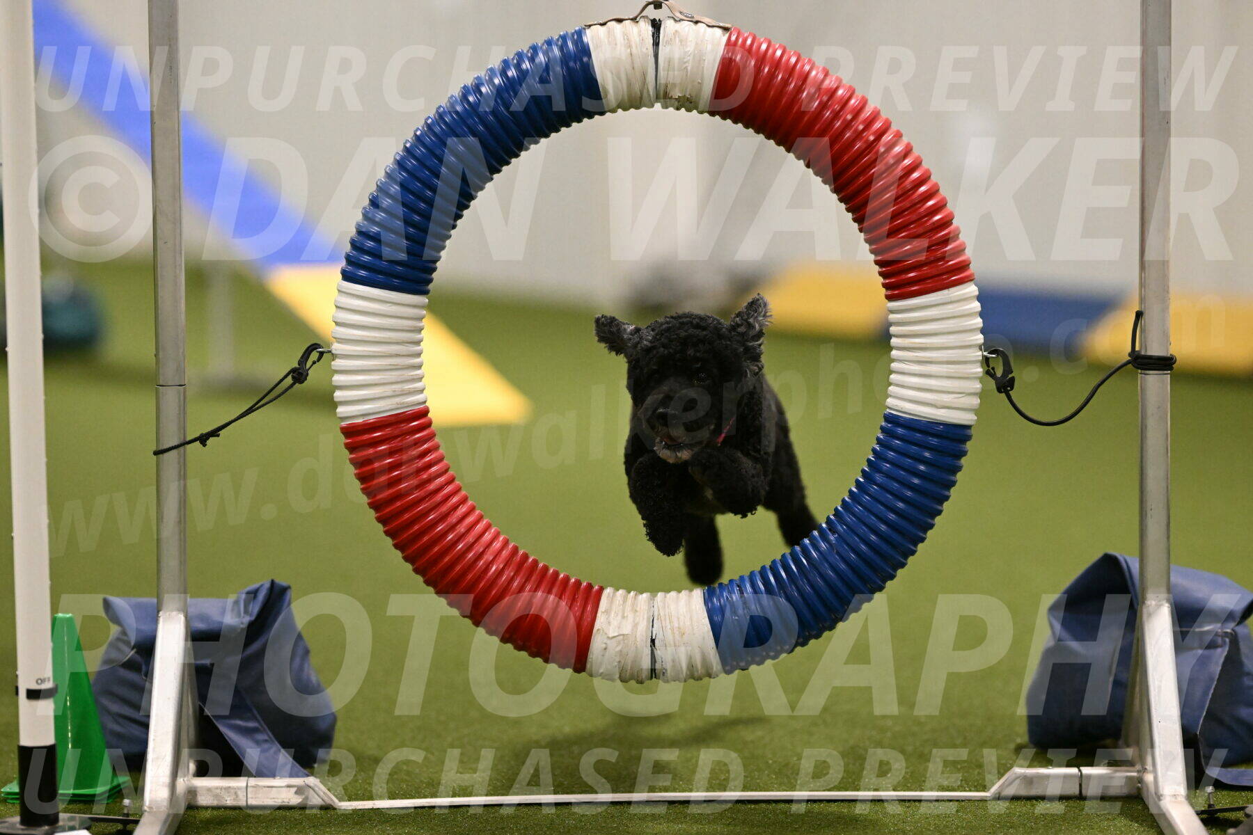 Nixie-Stacie-Rosenburg-00419