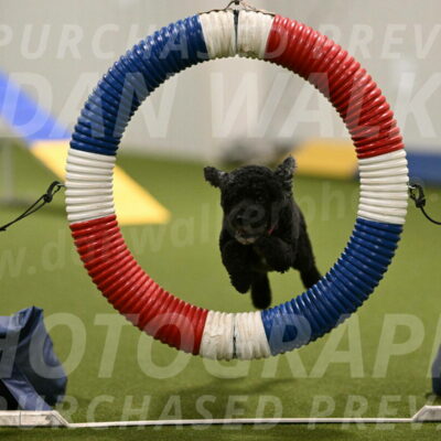 Nixie-Stacie-Rosenburg-00419