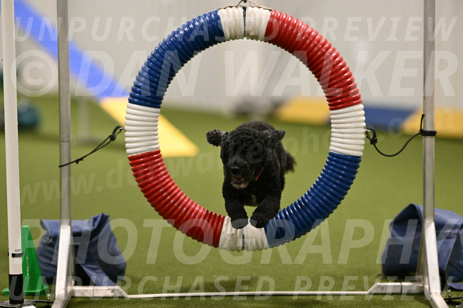 Nixie-Stacie-Rosenburg-00420