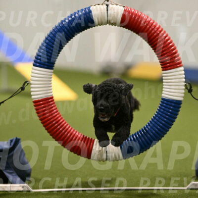 Nixie-Stacie-Rosenburg-00420