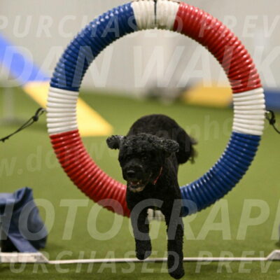 Nixie-Stacie-Rosenburg-00421