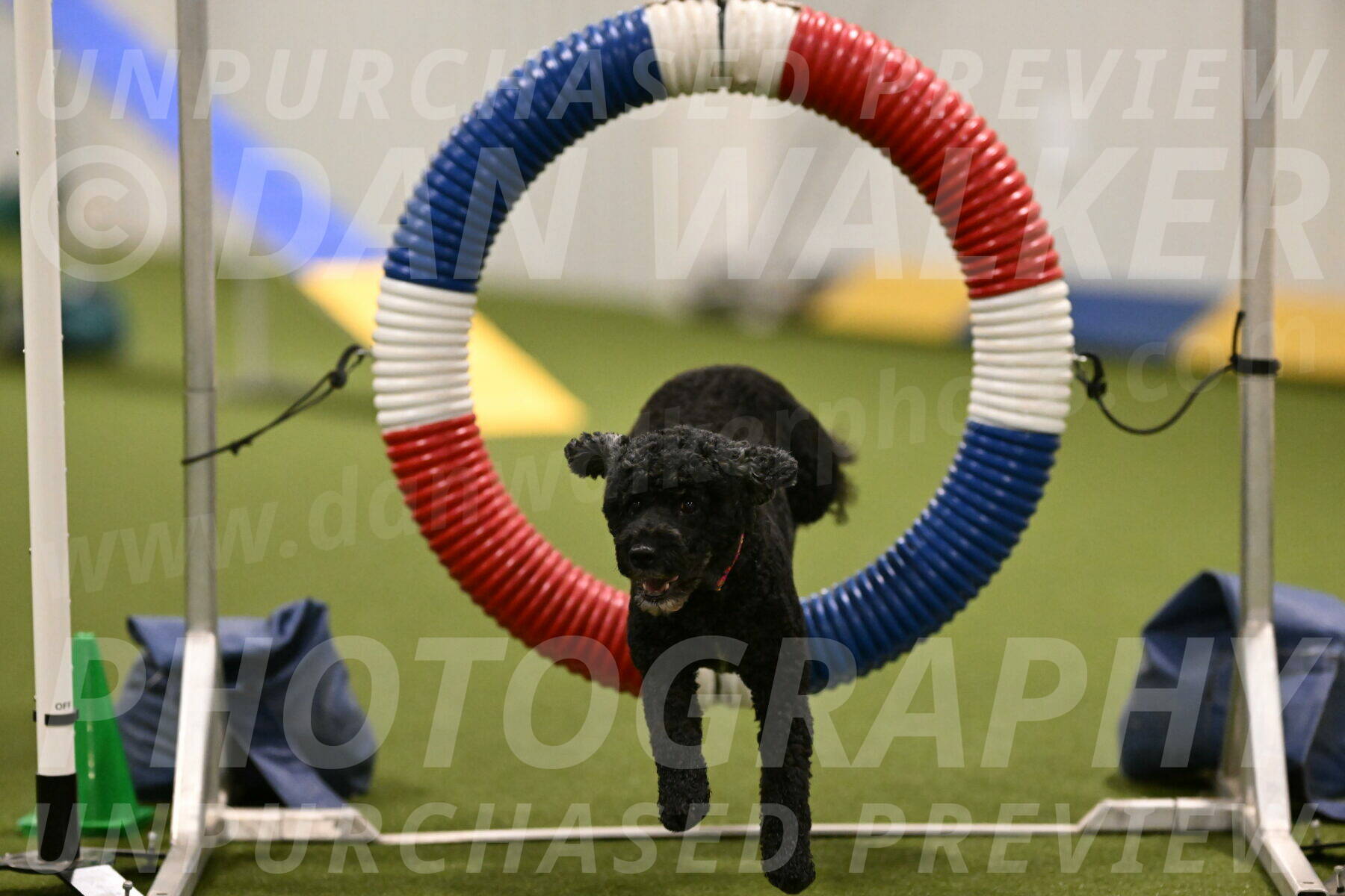 Nixie-Stacie-Rosenburg-00421