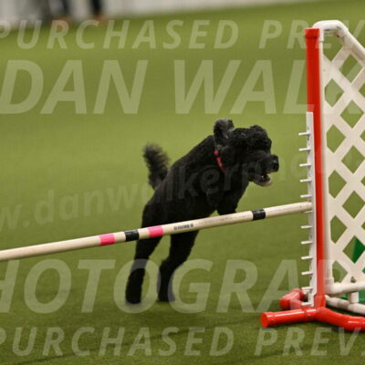 Nixie-Stacie-Rosenburg-00423