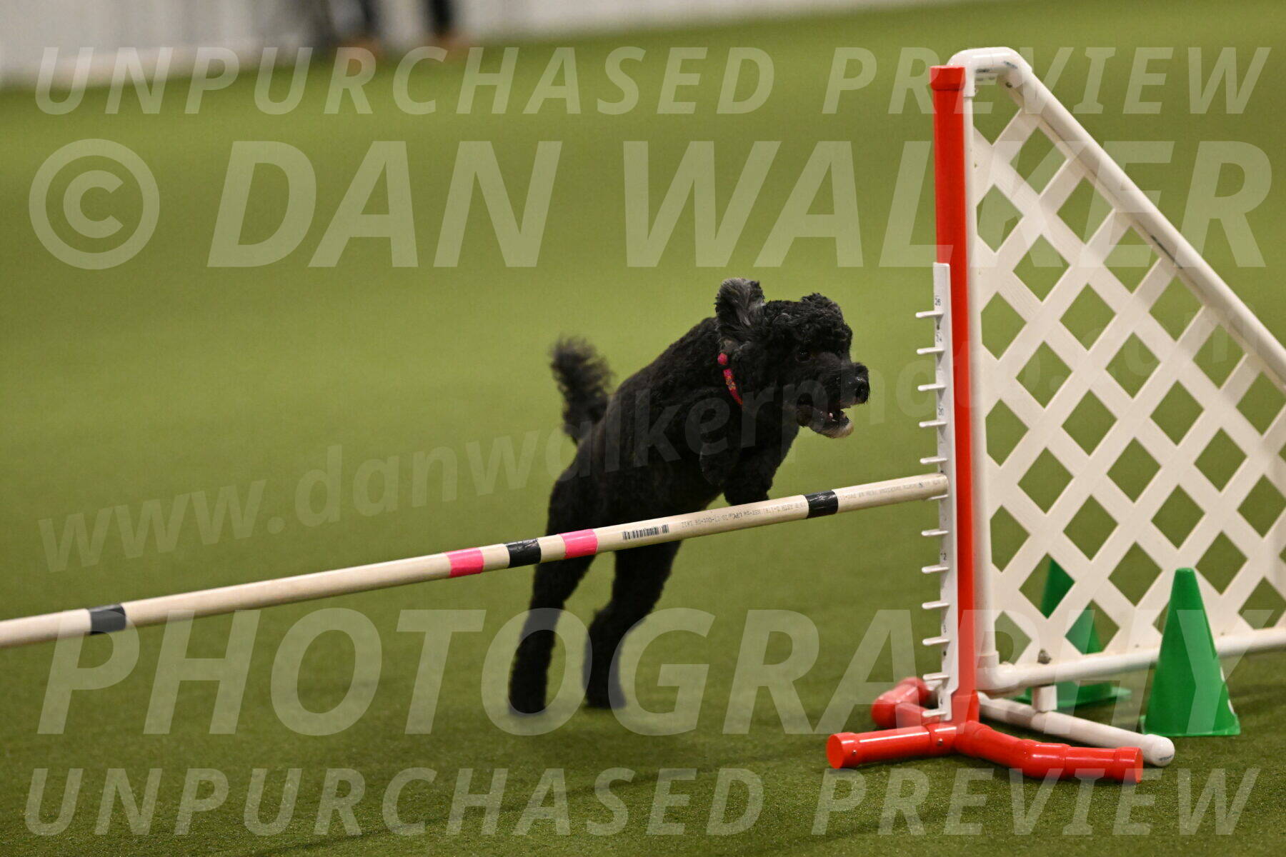 Nixie-Stacie-Rosenburg-00423