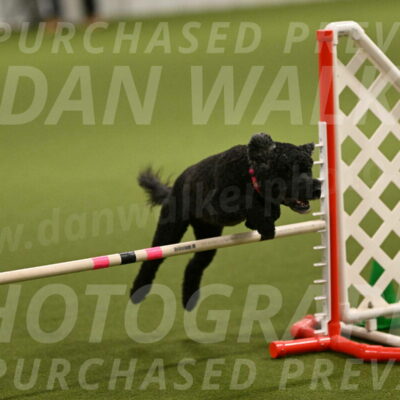 Nixie-Stacie-Rosenburg-00424