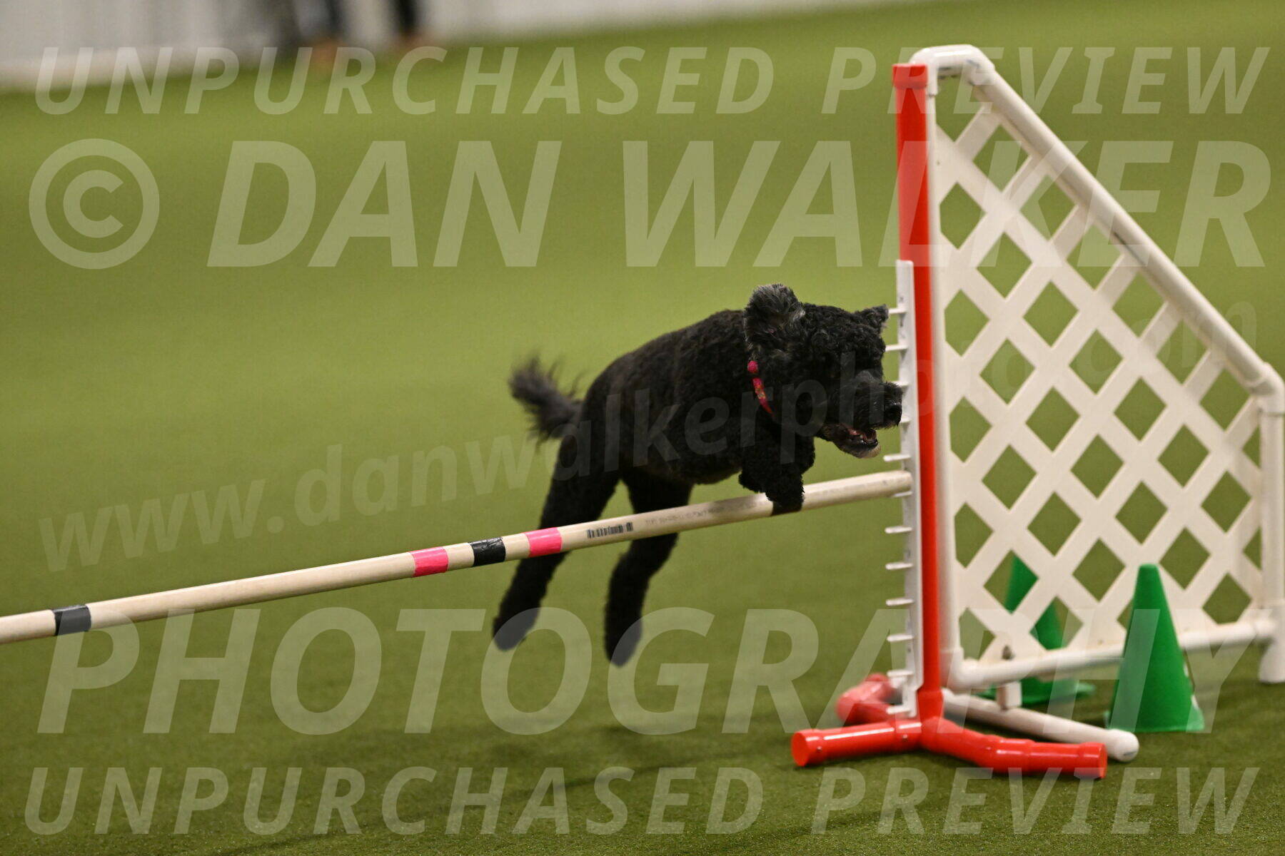 Nixie-Stacie-Rosenburg-00424