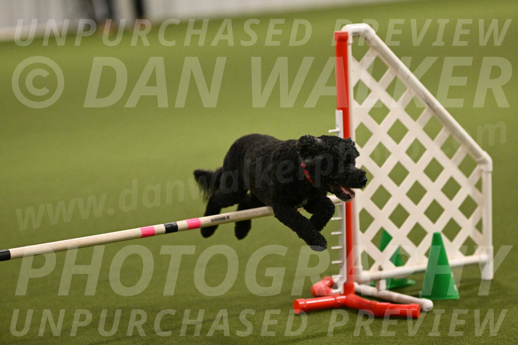 Nixie-Stacie-Rosenburg-00425