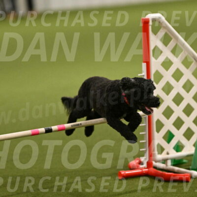 Nixie-Stacie-Rosenburg-00425