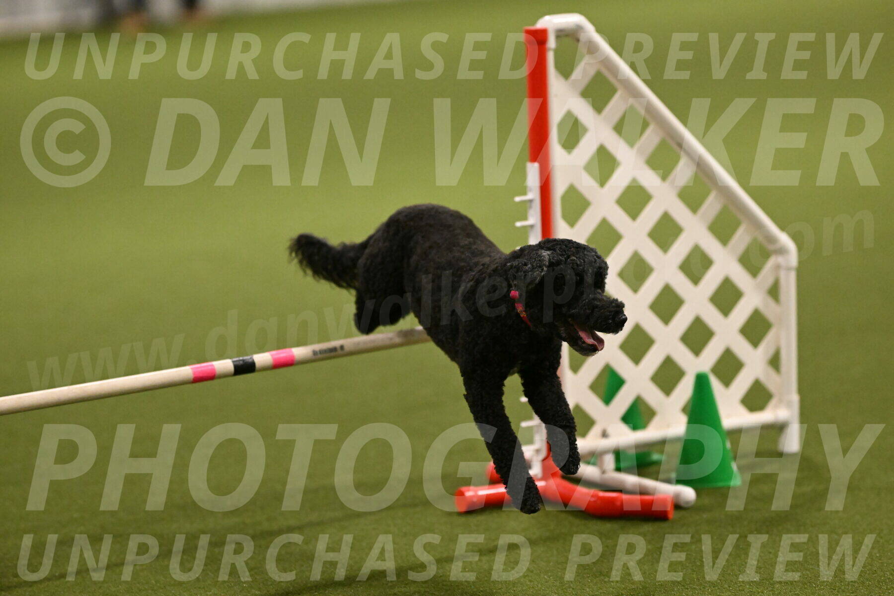 Nixie-Stacie-Rosenburg-00426