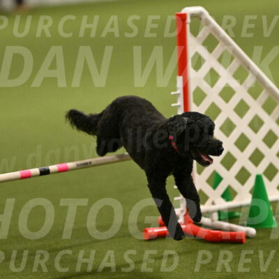 Nixie-Stacie-Rosenburg-00426