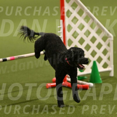 Nixie-Stacie-Rosenburg-00427