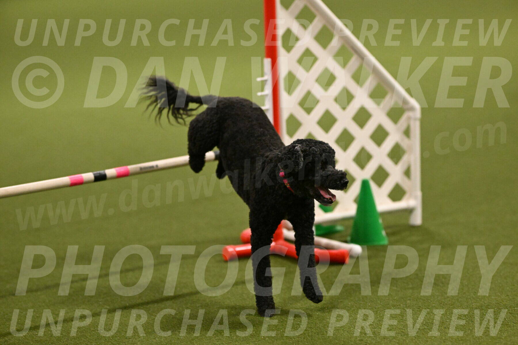 Nixie-Stacie-Rosenburg-00427