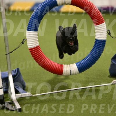 Nixie-Stacie-Rosenburg-00428