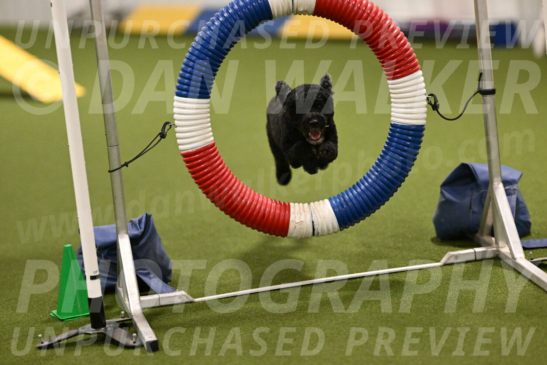 Nixie-Stacie-Rosenburg-00428